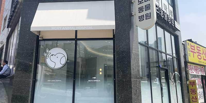 모리동물병원