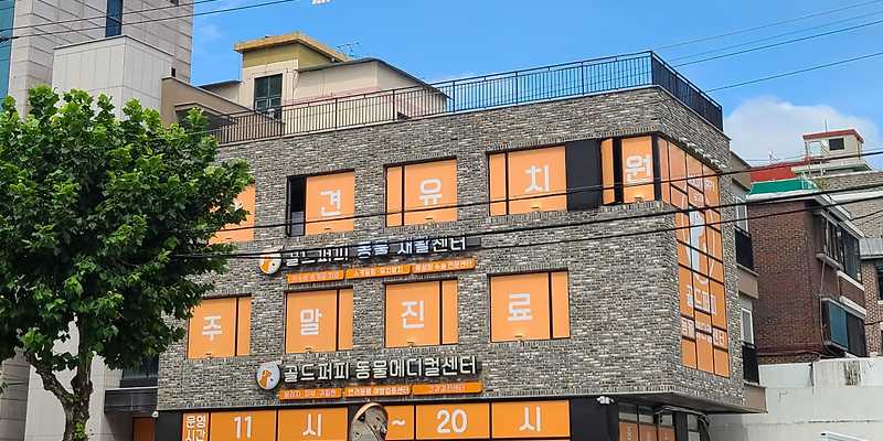골드퍼피동물병원 공릉점