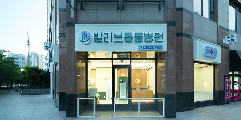 빌리브동물병원