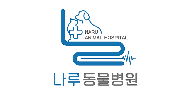 나루동물병원