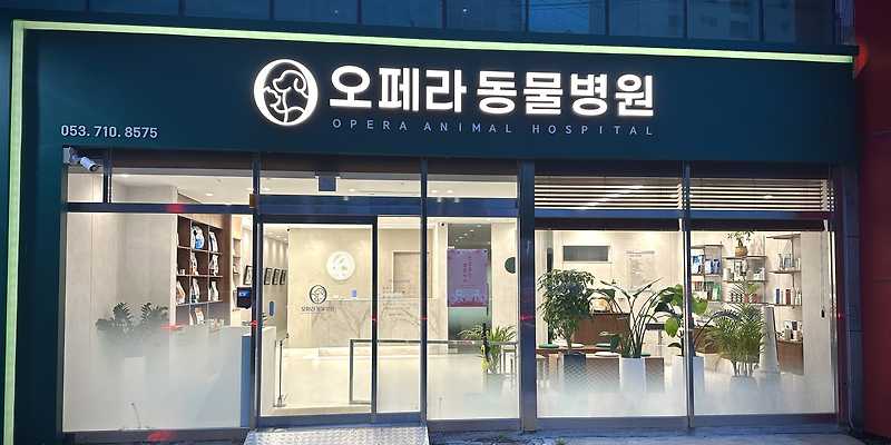 오페라 동물병원