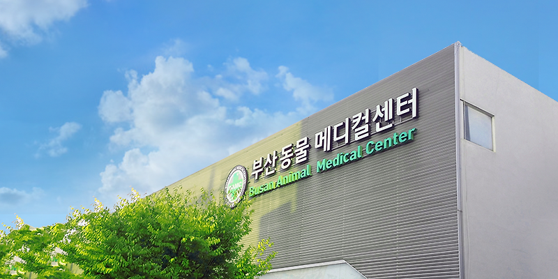 부산동물메디컬센터