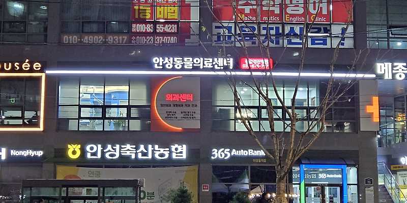 안성동물의료센터
