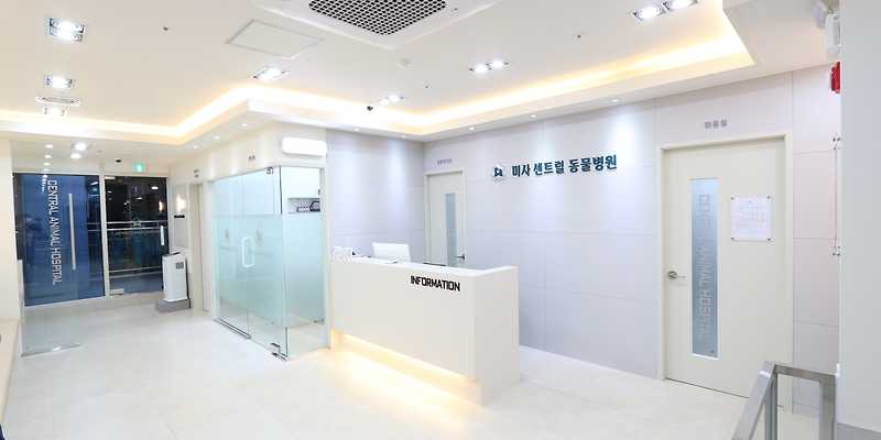 미사 센트럴 동물병원