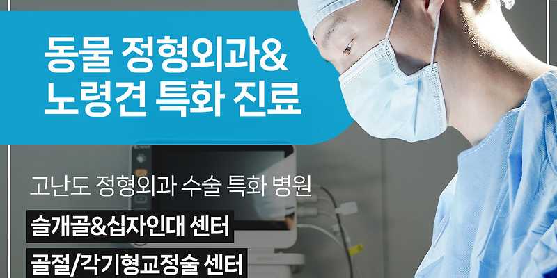 비비동물병원