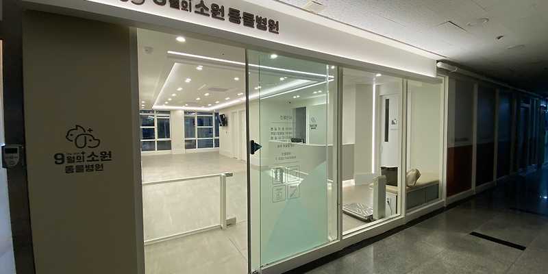 9월의 소원 동물병원