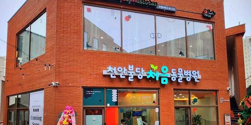 처음동물병원