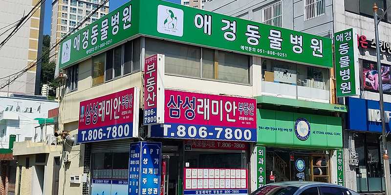 애경동물병원
