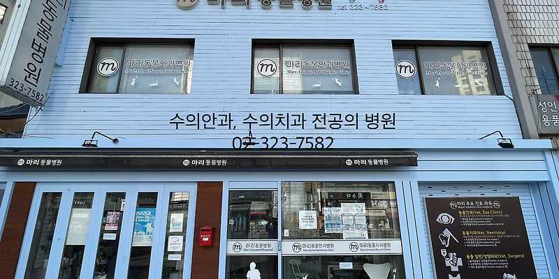 마리동물병원