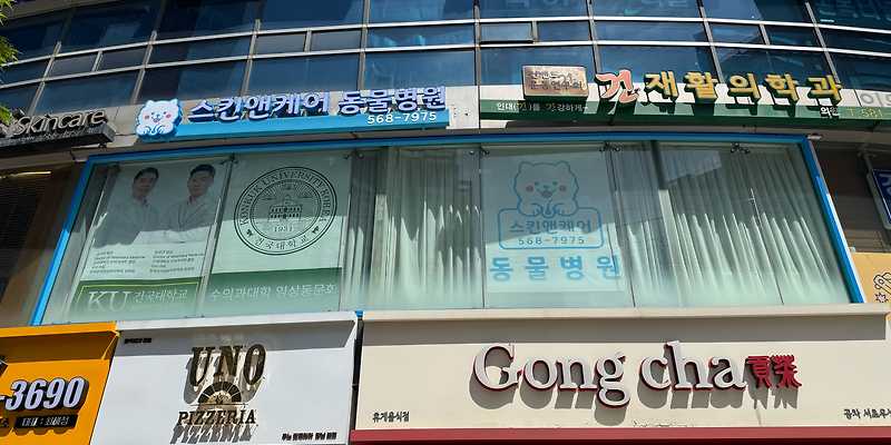 스킨앤케어 동물병원