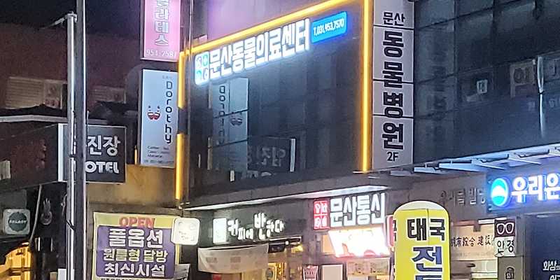 문산동물의료센터