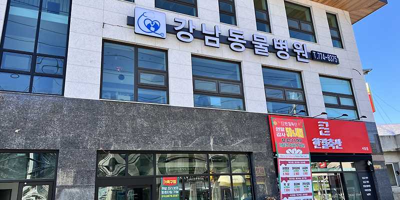 강남동물병원
