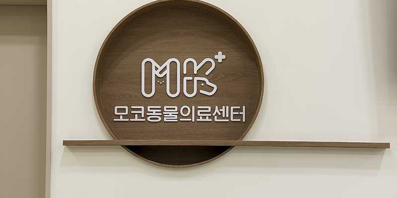 모코동물의료센터