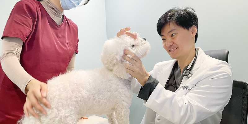 연두동물병원