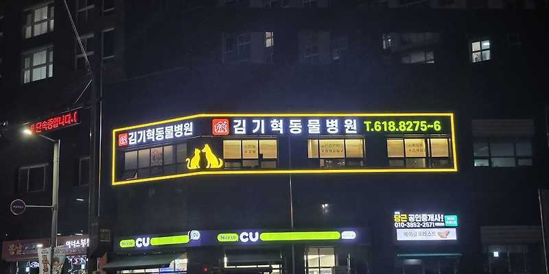 김기혁 동물병원