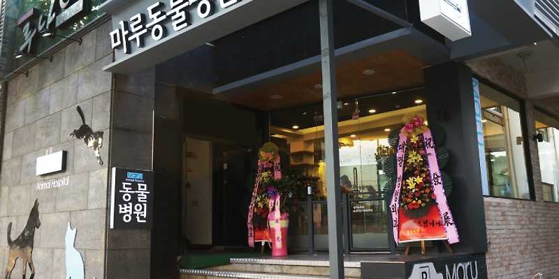 마루동물병원
