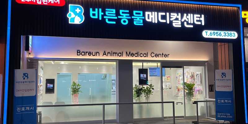 24시케어 바른동물메디컬센터
