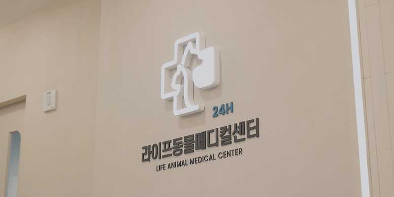24시라이프동물메디컬센터