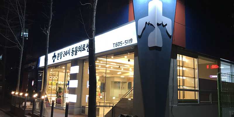 분당24시동물의료센터