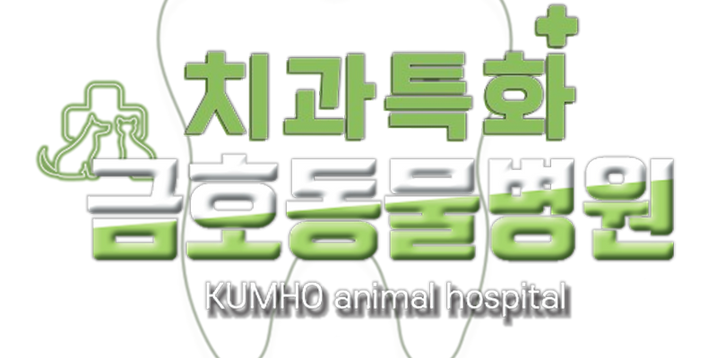 금호동물병원