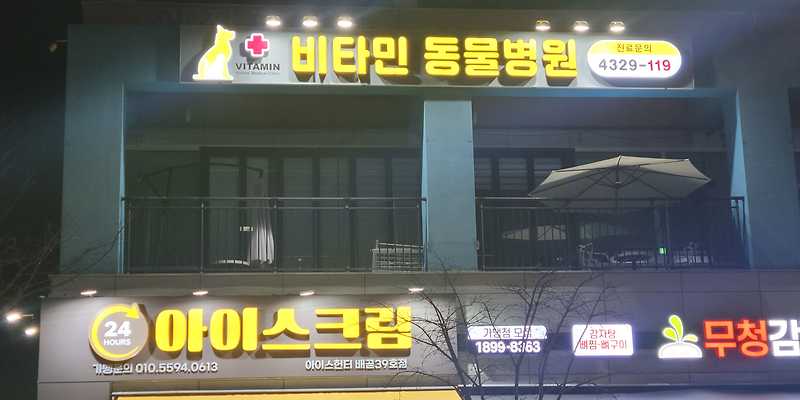 비타민 동물병원