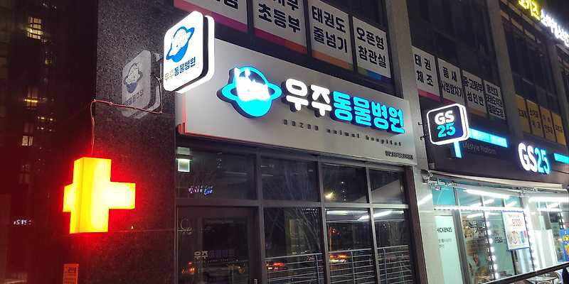 과천우주동물병원