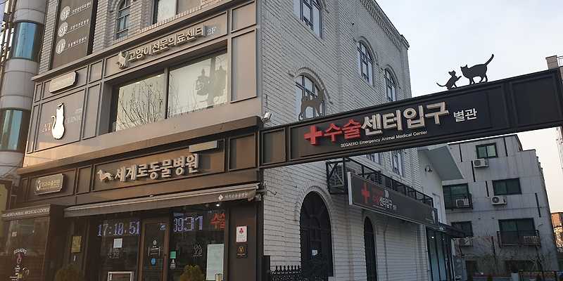 세계로동물의료센터