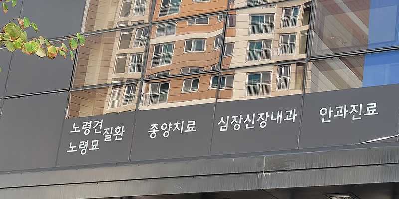 정말로동물병원