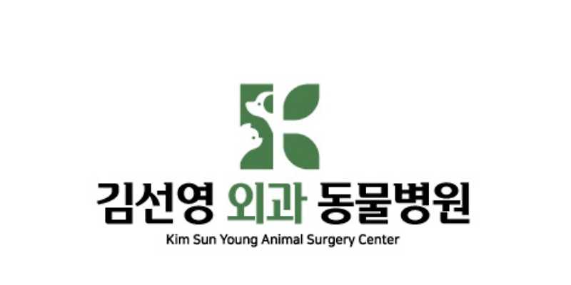 김선영 외과 동물병원