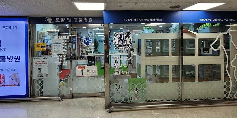 로얄벳 동물병원