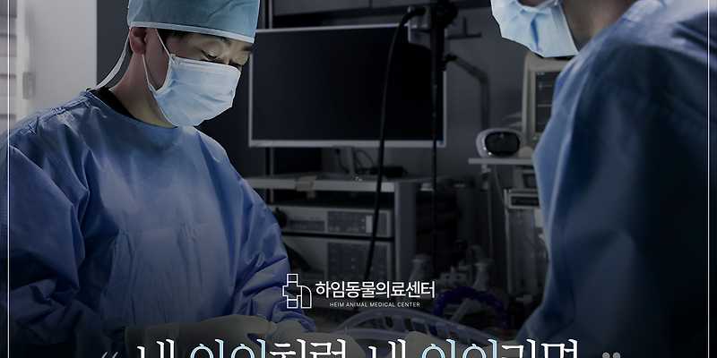 하임동물의료센터