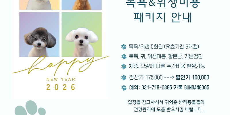365동물병원 분당점