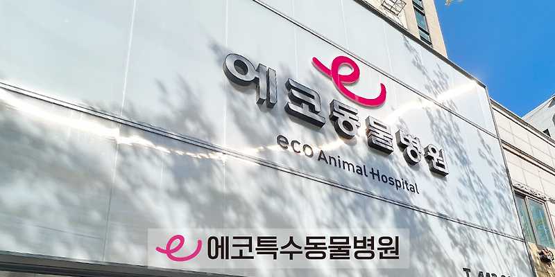 에코동물병원