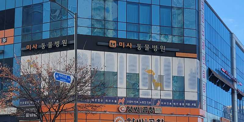미사동물병원