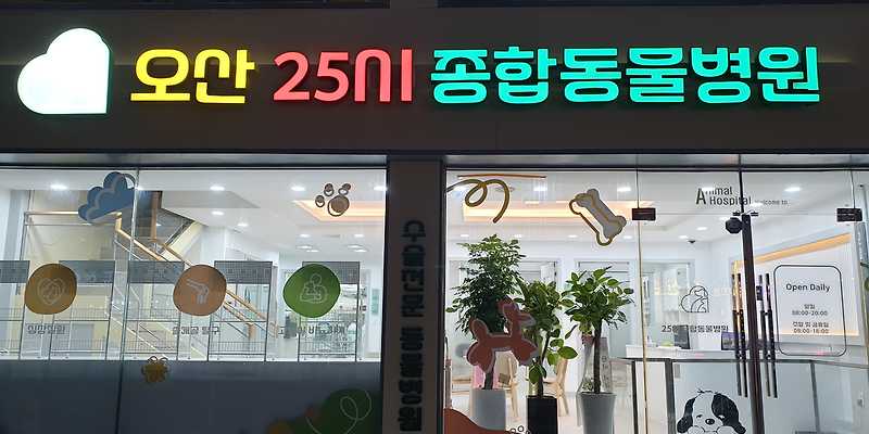 오산25시종합동물병원