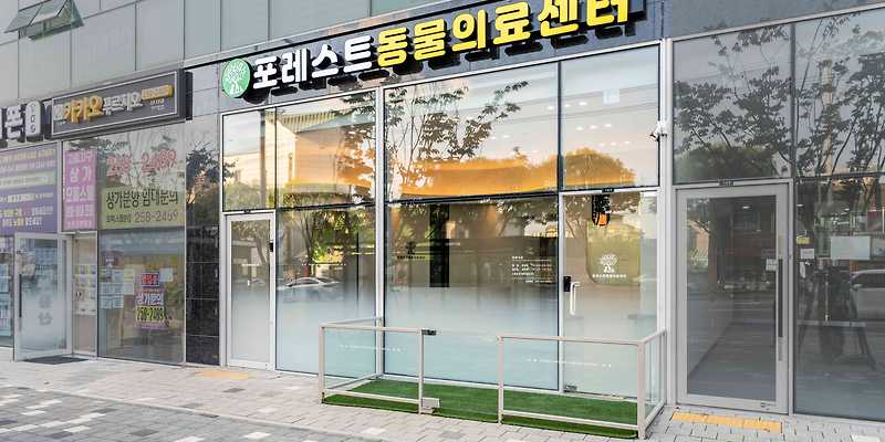 포레스트동물의료센터