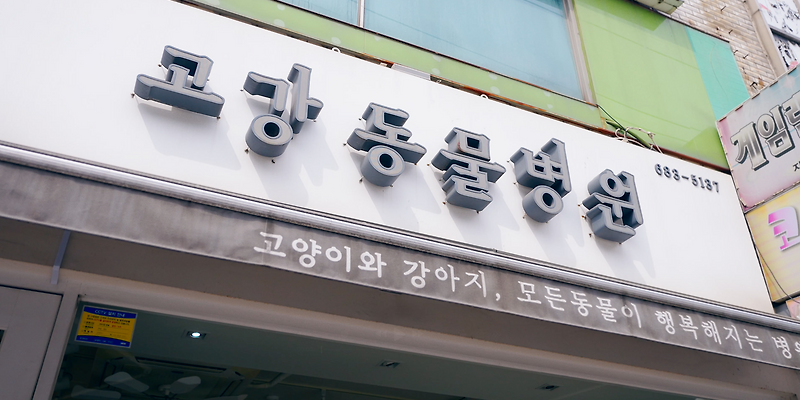 고강동물병원