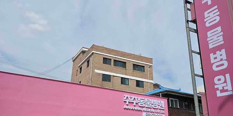 주주동물병원