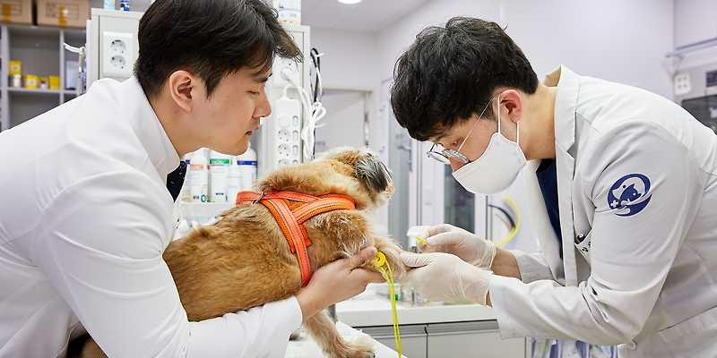 괜찮아동물병원