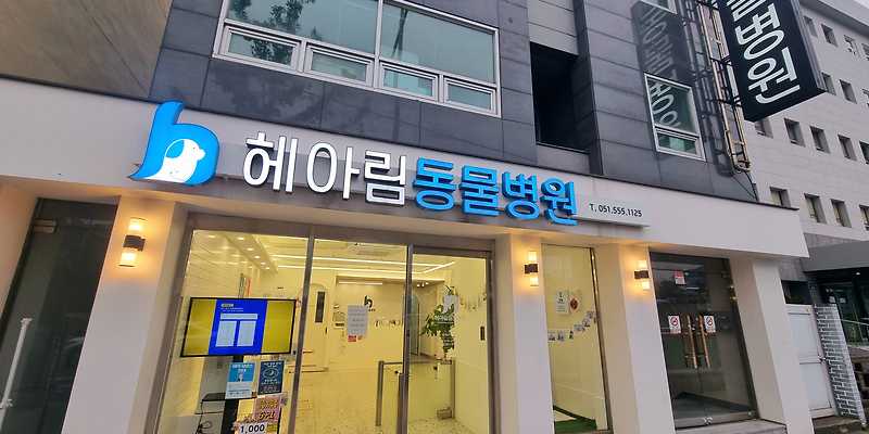 헤아림동물병원