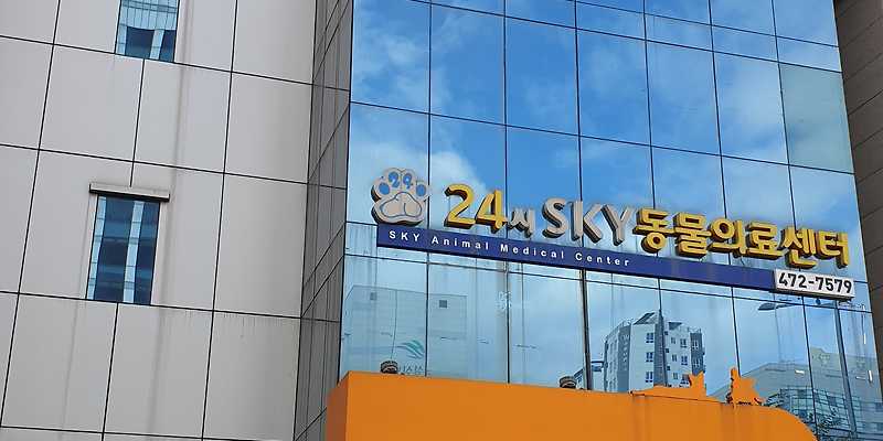 강동24시 SKY 동물의료센터