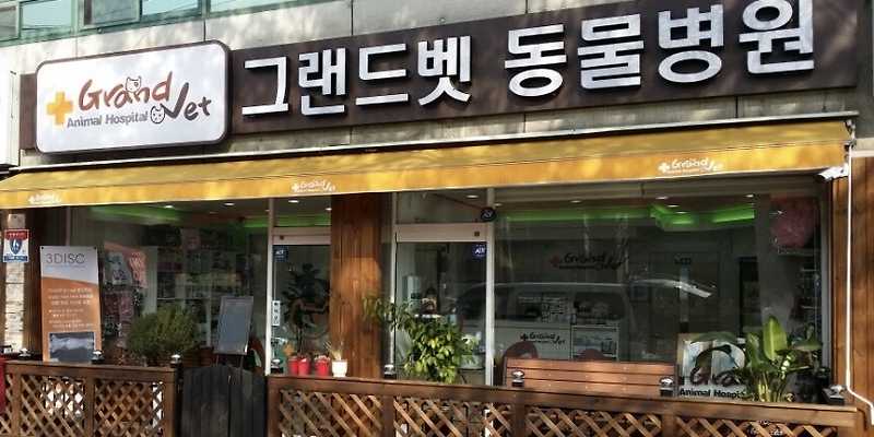 그랜드벳동물병원