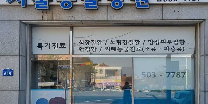 서울동물병원