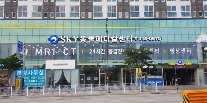 천안24시스카이동물메디컬센터