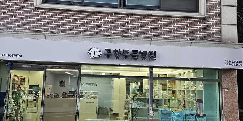 공항 동물병원