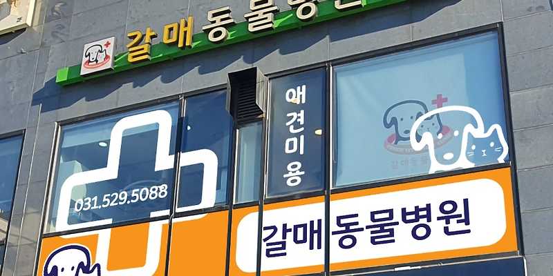 갈매동물병원