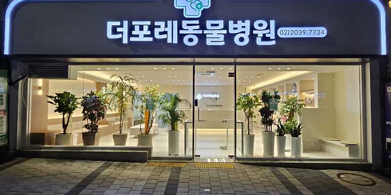 더 포레 동물병원