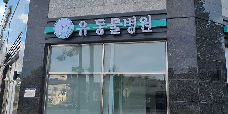 유동물병원
