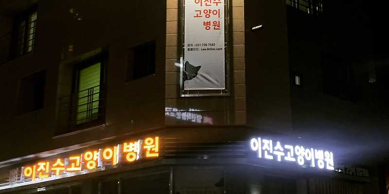 이진수고양이병원