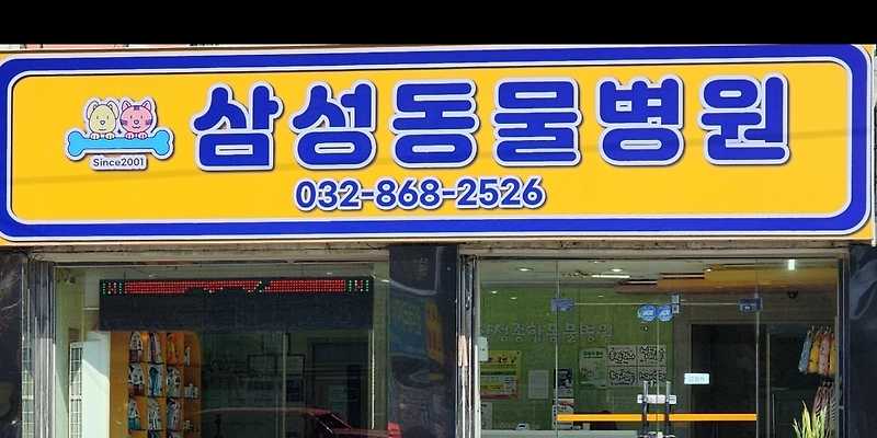 삼성동물종합병원